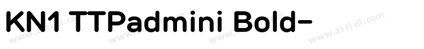 KN1 TTPadmini Bold字体转换